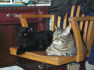 Incubus and Jasper in 2006.