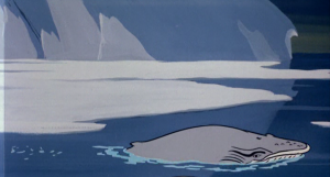 The rare Sam Waterston's Whale, with characteristic eyebrows.